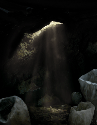 Habitat der Grottenlorchel